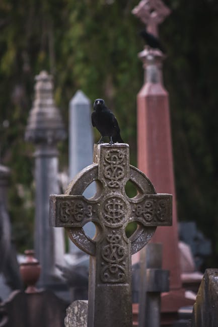 Crow on a celtic cross